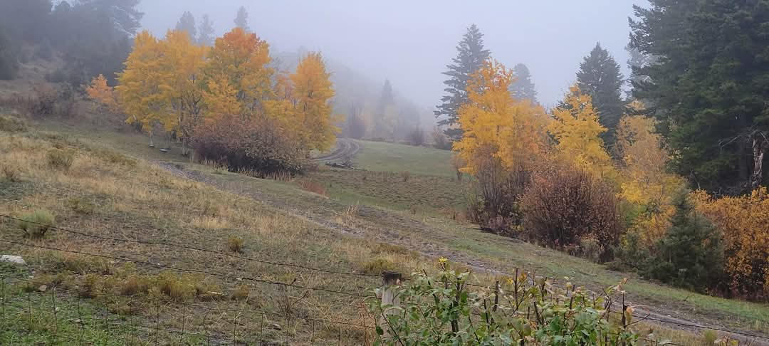 187 Edwards Gulch Road