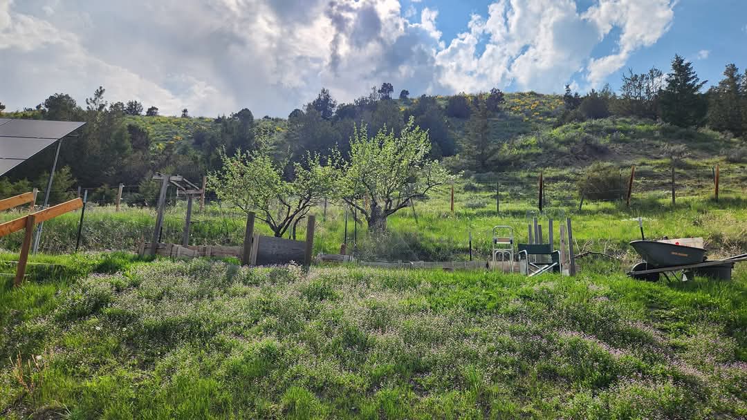 187 Edwards Gulch Road