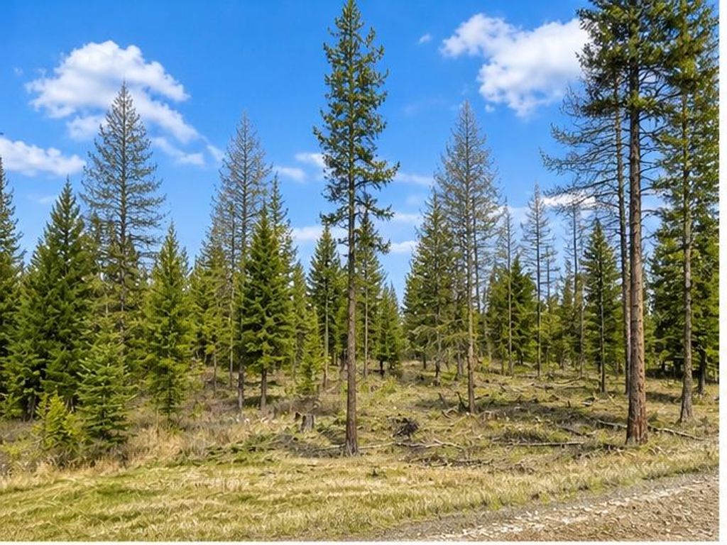 Photo of 237 Haskill Ranch Road #Lot 38, Kila, MT 59920 (MLS # 30069991)