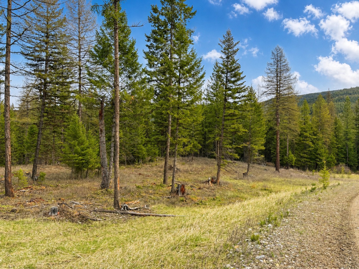 237 Haskill Ranch Road Lot 38