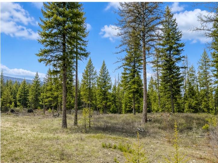 237 Haskill Ranch Road Lot 38