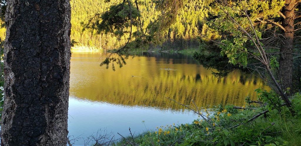 NHN Emerald Lake Loop