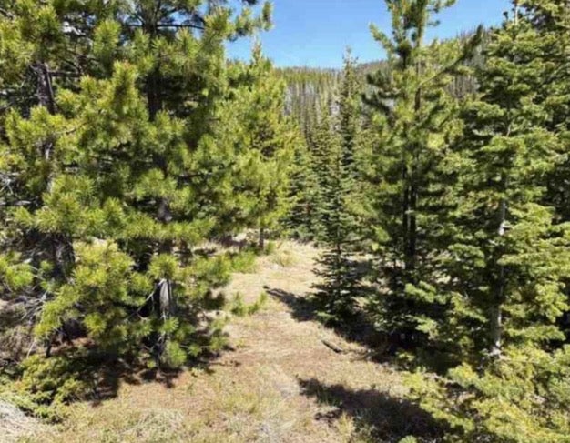 Photo of nhn Corral Gulch Road, Clancy, MT 59634 (MLS # 30074821)