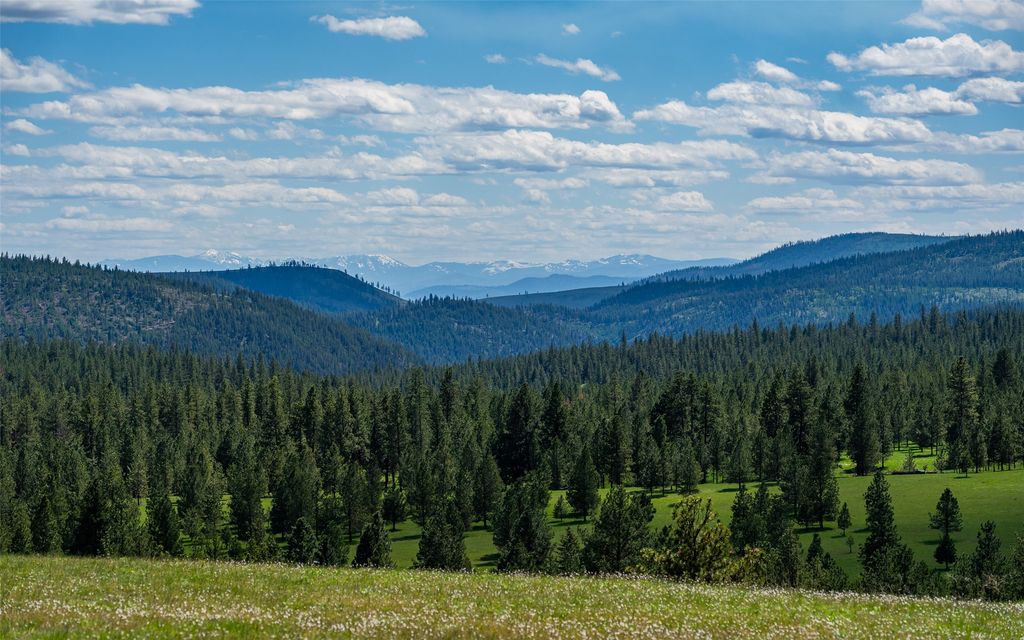 Photo of 3145, 3185, 3605 &amp; 3 Hubbart Dam Road, Marion, MT 59925 (MLS # 30070577)
