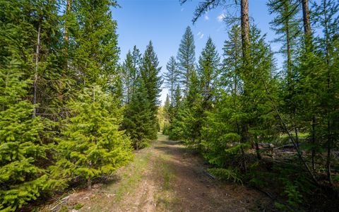 Tiny photo for 3145, 3185, 3605 & 3 Hubbart Dam Road, Marion, MT 59925 (MLS # 30070577)