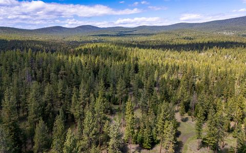 Tiny photo for 3145, 3185, 3605 & 3 Hubbart Dam Road, Marion, MT 59925 (MLS # 30070577)