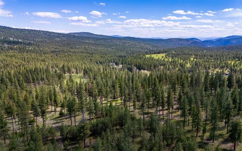 Tiny photo for 3145, 3185, 3605 & 3 Hubbart Dam Road, Marion, MT 59925 (MLS # 30070577)