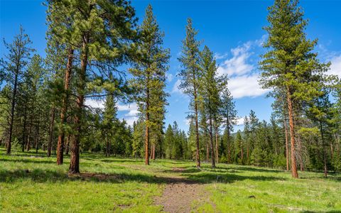 Tiny photo for 3145, 3185, 3605 & 3 Hubbart Dam Road, Marion, MT 59925 (MLS # 30070577)