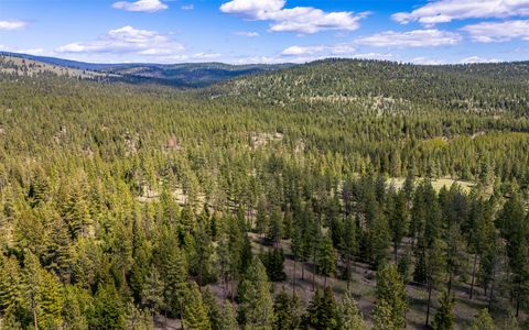 Tiny photo for 3145, 3185, 3605 & 3 Hubbart Dam Road, Marion, MT 59925 (MLS # 30070577)