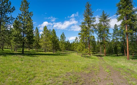 Tiny photo for 3145, 3185, 3605 & 3 Hubbart Dam Road, Marion, MT 59925 (MLS # 30070577)