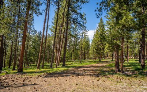 Tiny photo for 3145, 3185, 3605 & 3 Hubbart Dam Road, Marion, MT 59925 (MLS # 30070577)