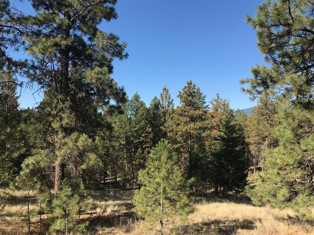 NHN Trails End Road