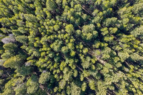 Tiny photo for 2175 Pleasant Valley Road, Marion, MT 59925 (MLS # 30069218)