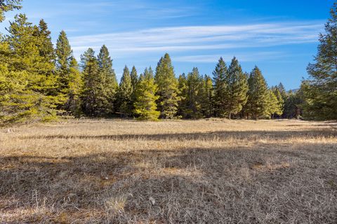 Tiny photo for 2175 Pleasant Valley Road, Marion, MT 59925 (MLS # 30069218)