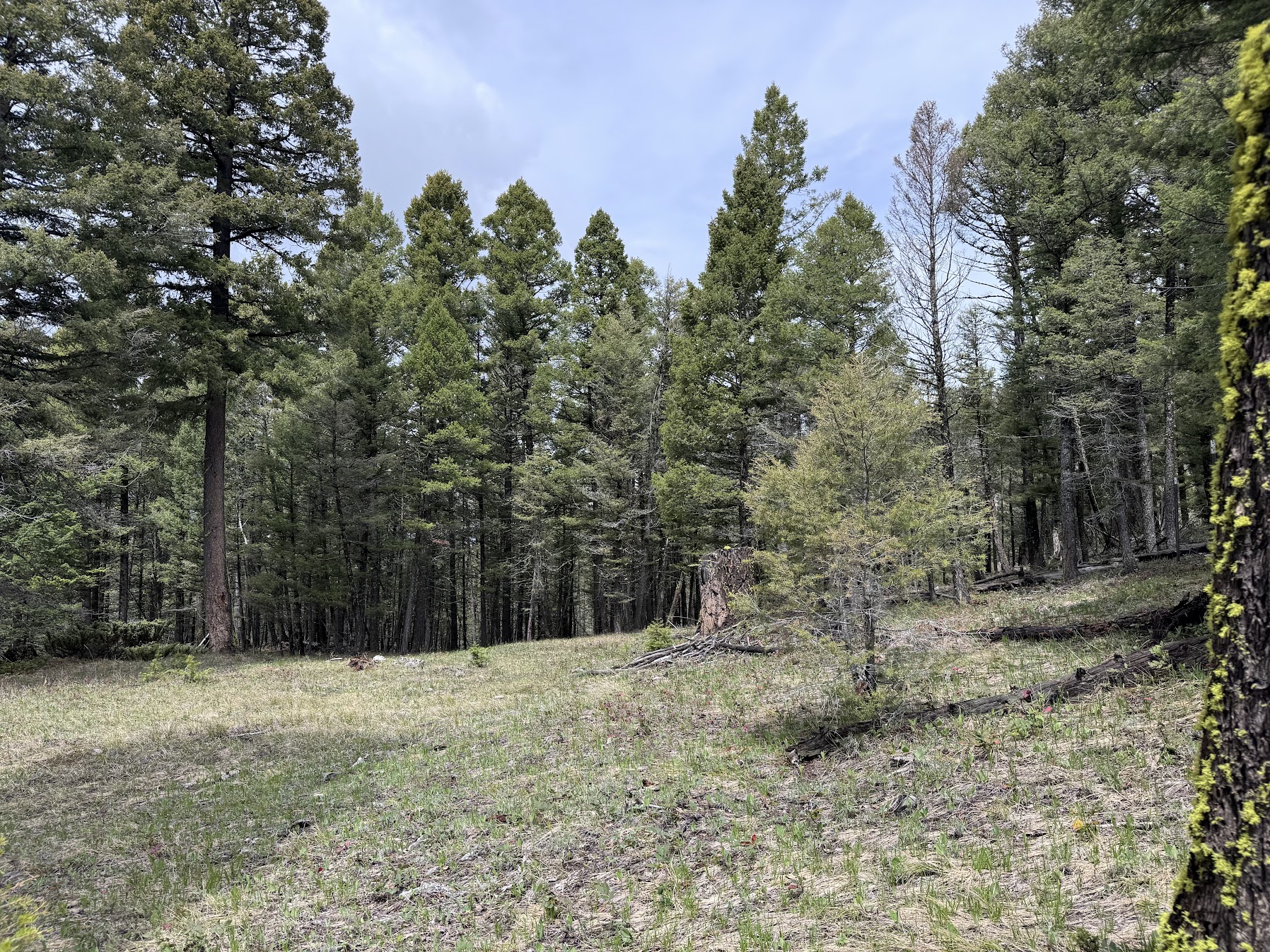 Helmville, Montana 59843, United States, ,Land,Active,137222