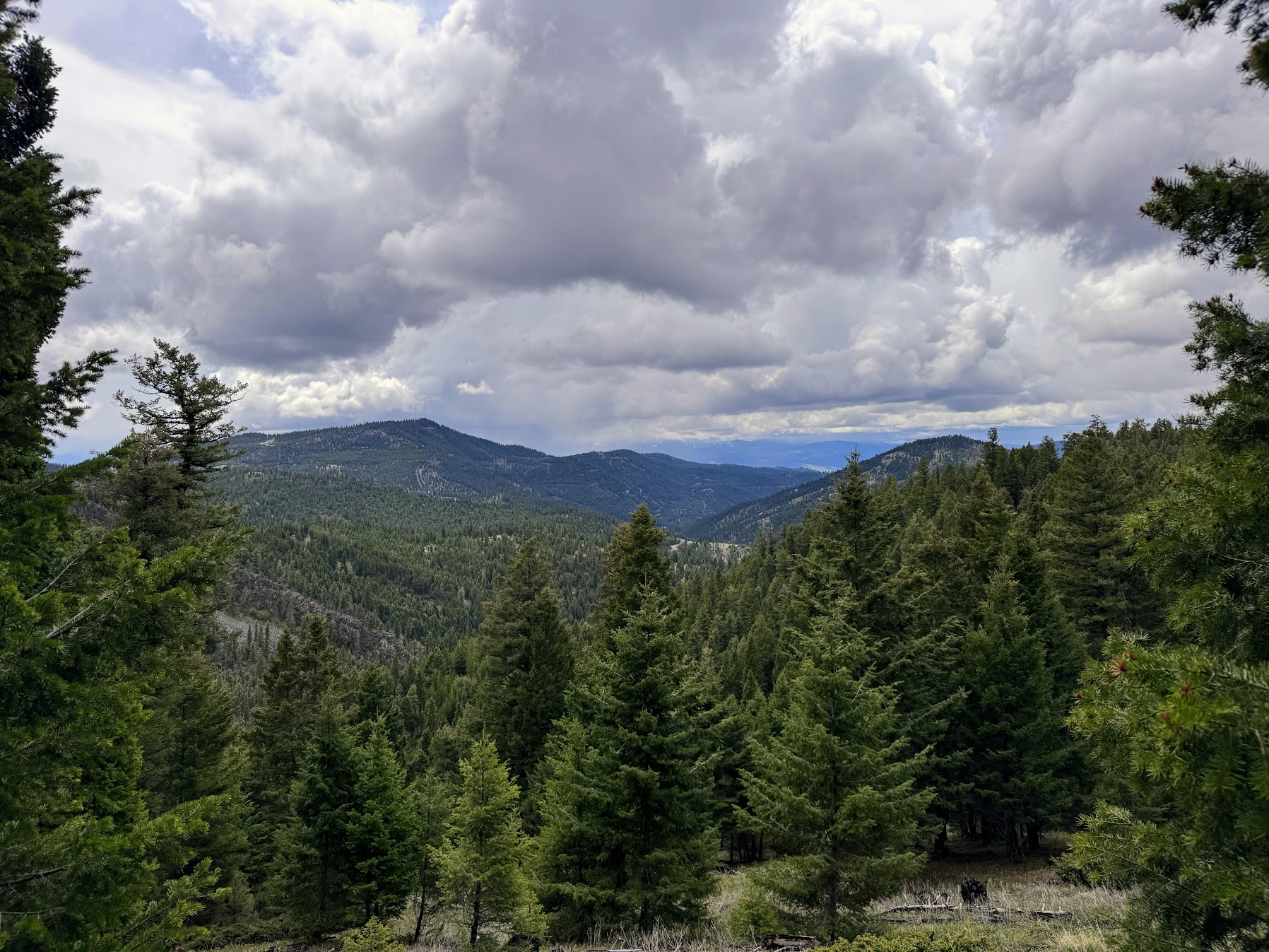 Helmville, Montana 59843, United States, ,Land,Active,137222