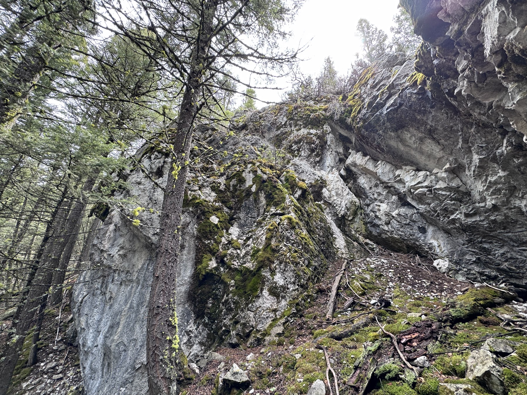 Helmville, Montana 59843, United States, ,Land,Active,137222