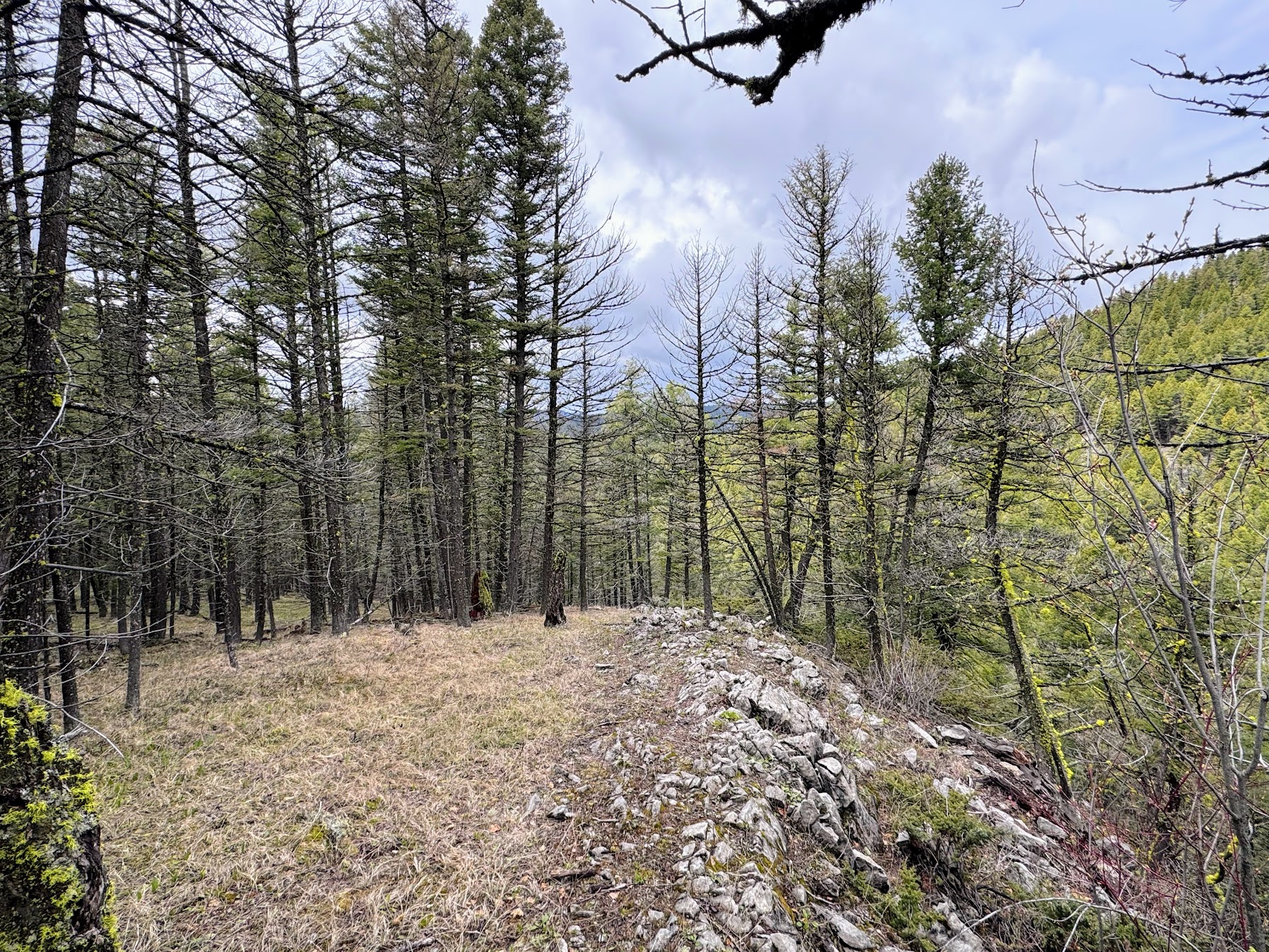 Helmville, Montana 59843, United States, ,Land,Active,137222