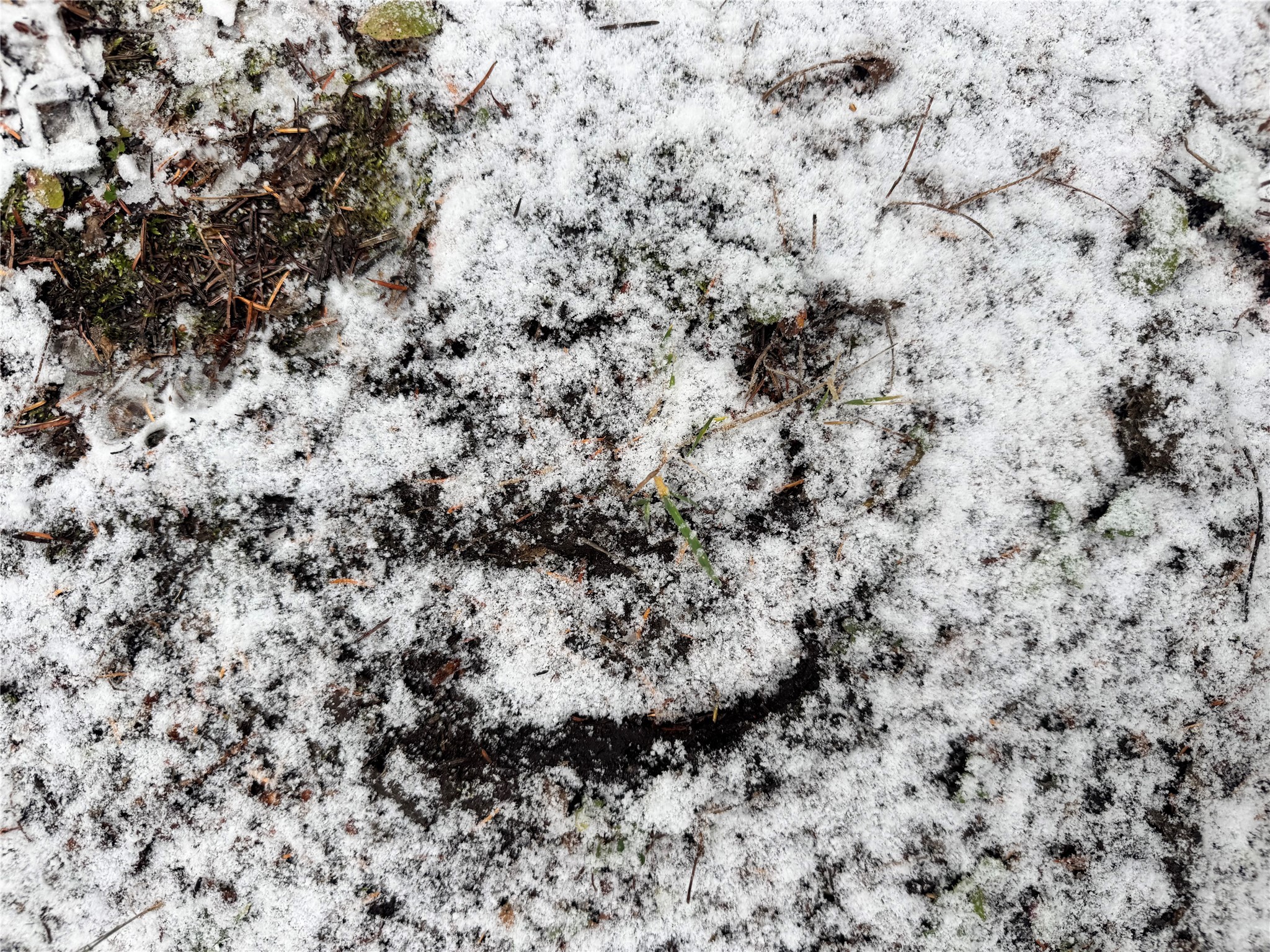 Helmville, Montana 59843, United States, ,Land,Active,137222