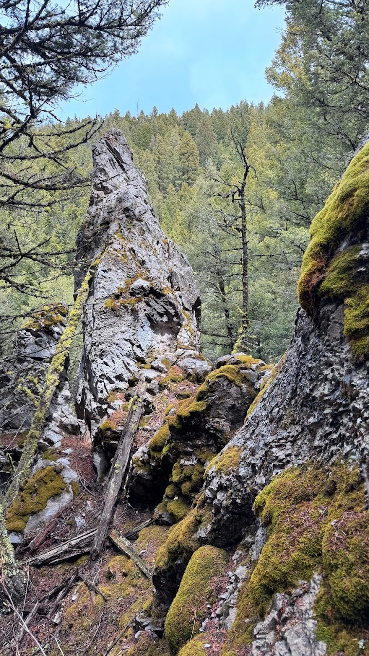 Helmville, Montana 59843, United States, ,Land,Active,137222