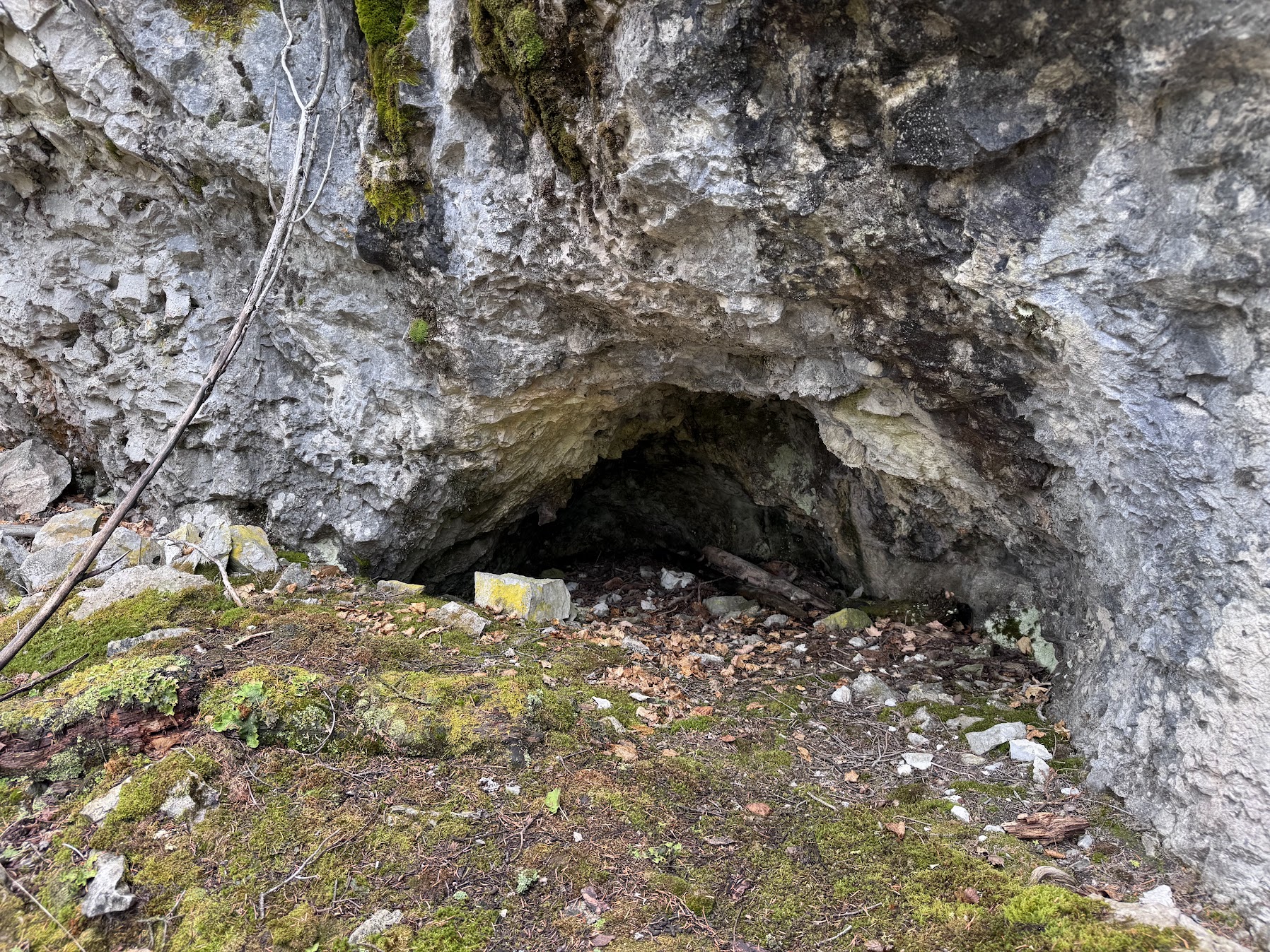 Helmville, Montana 59843, United States, ,Land,Active,137222