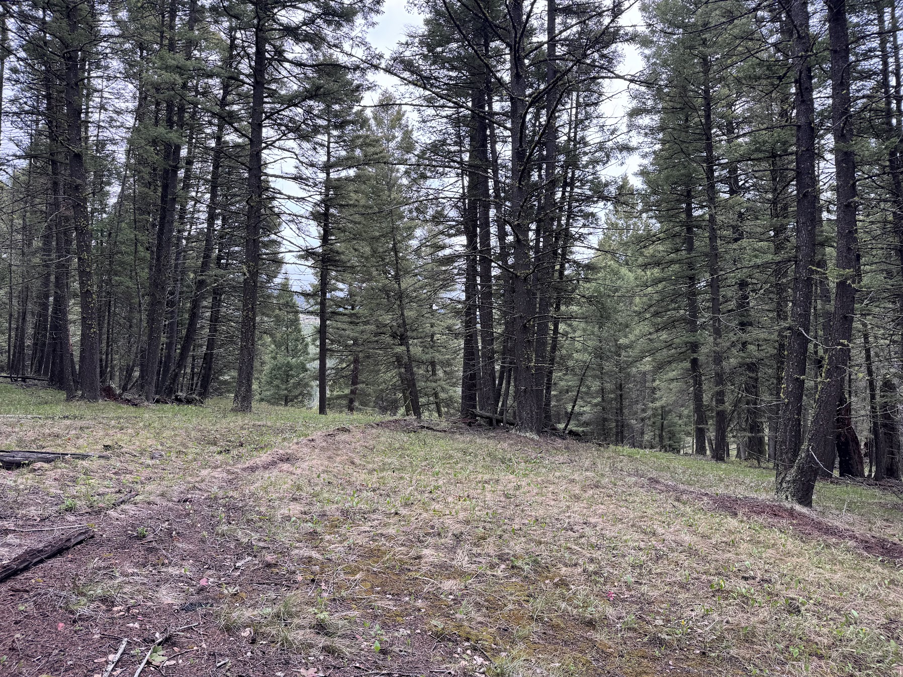 Helmville, Montana 59843, United States, ,Land,Active,137222