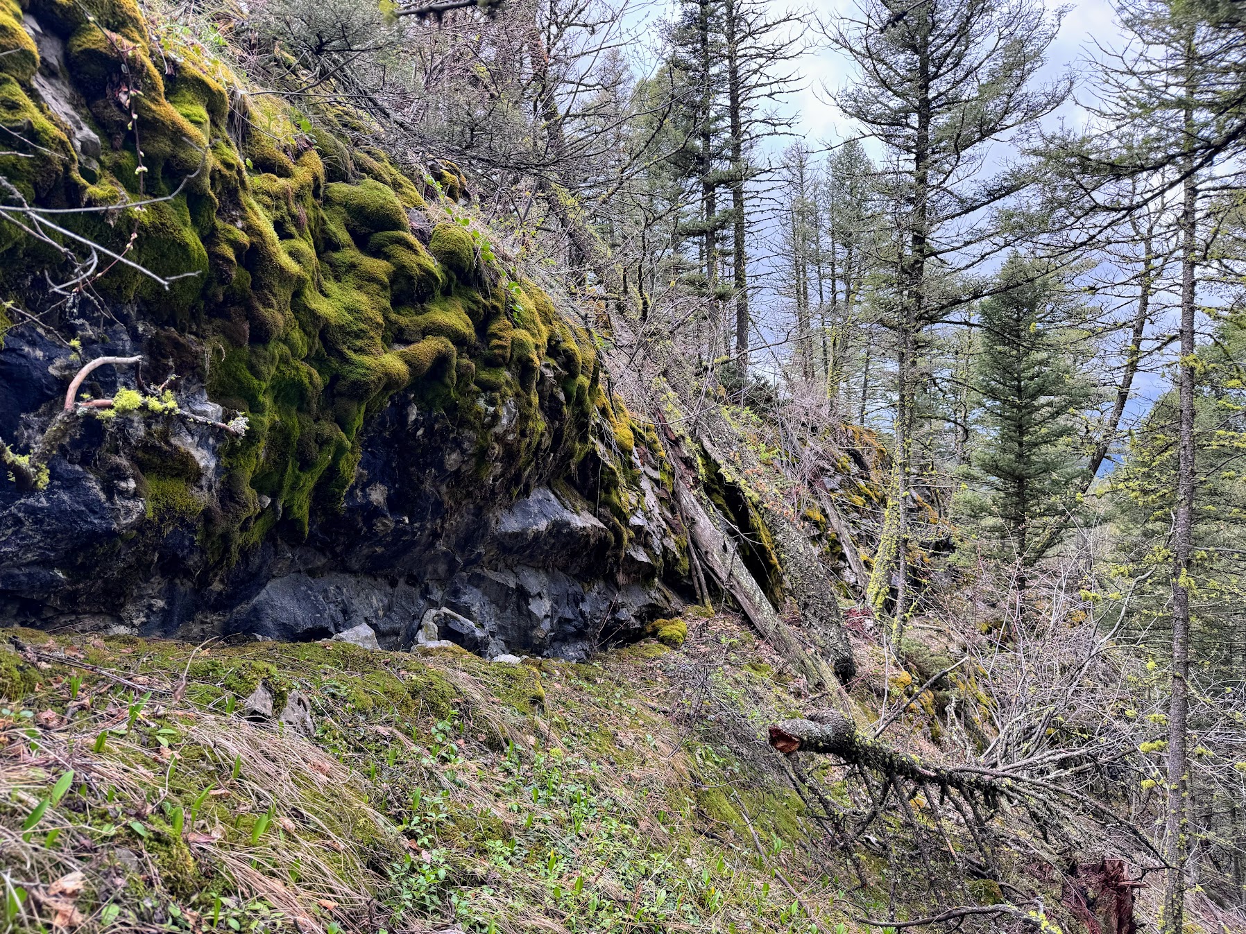 Helmville, Montana 59843, United States, ,Land,Active,137222