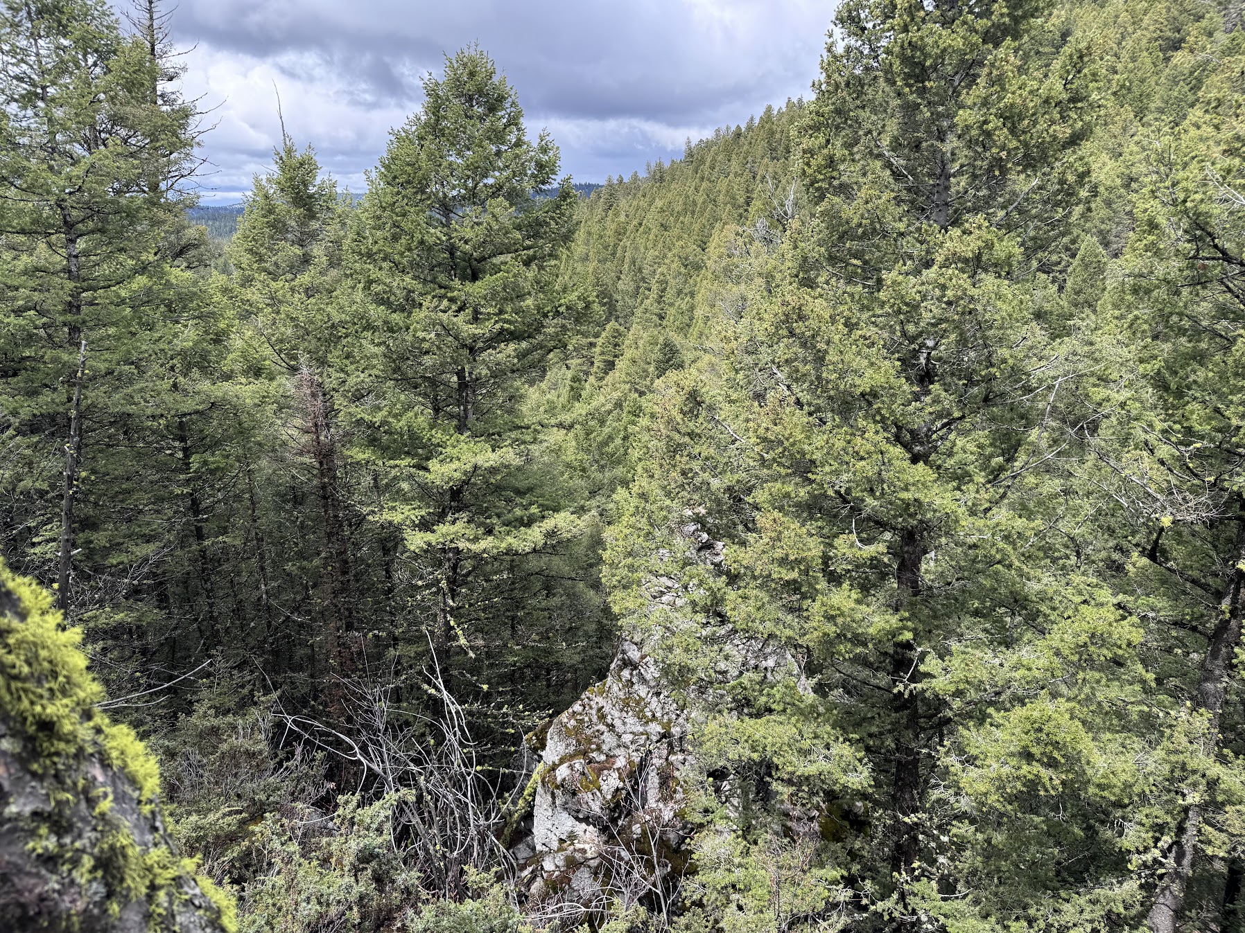 Helmville, Montana 59843, United States, ,Land,Active,137222