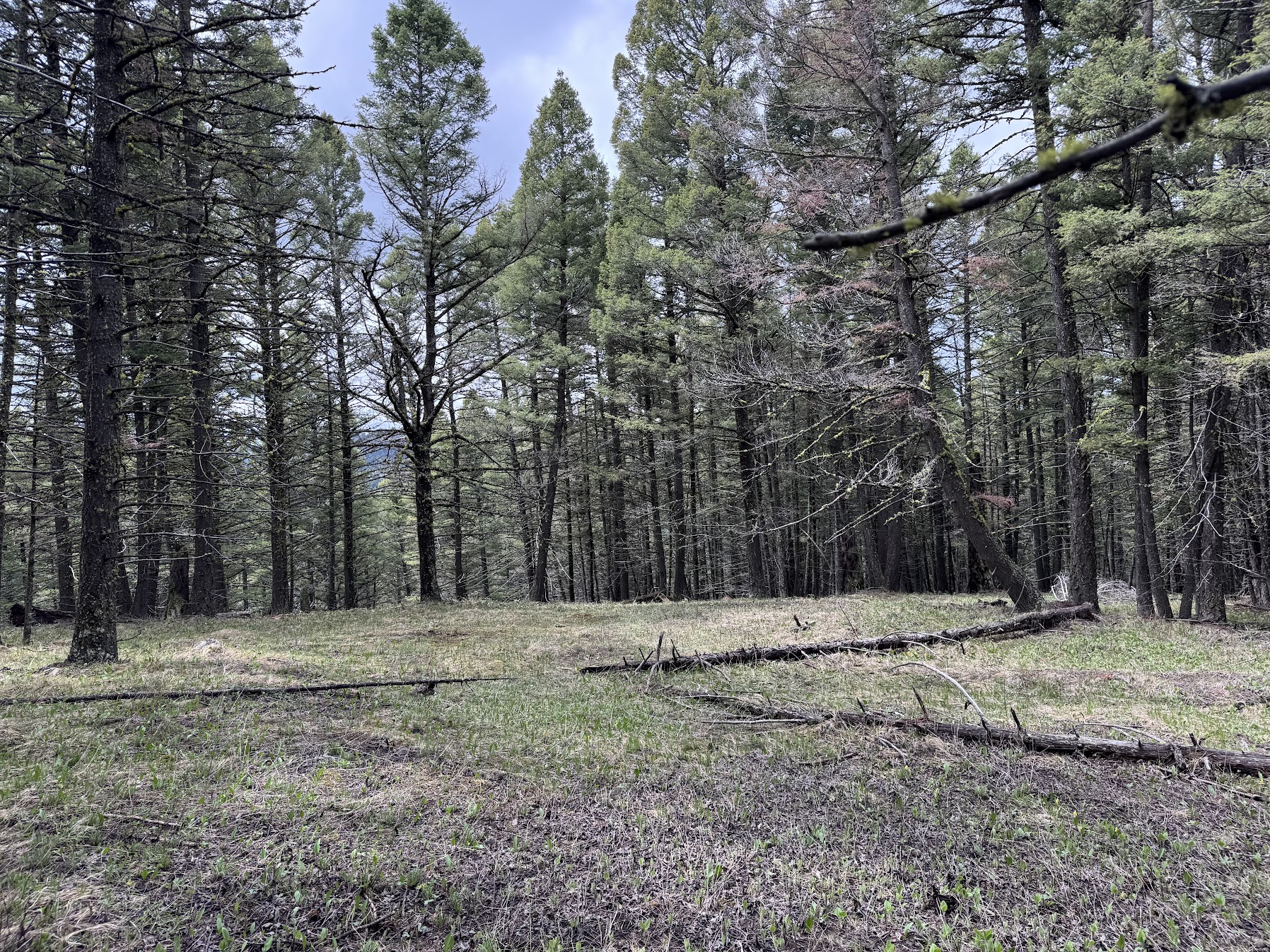 Helmville, Montana 59843, United States, ,Land,Active,137222