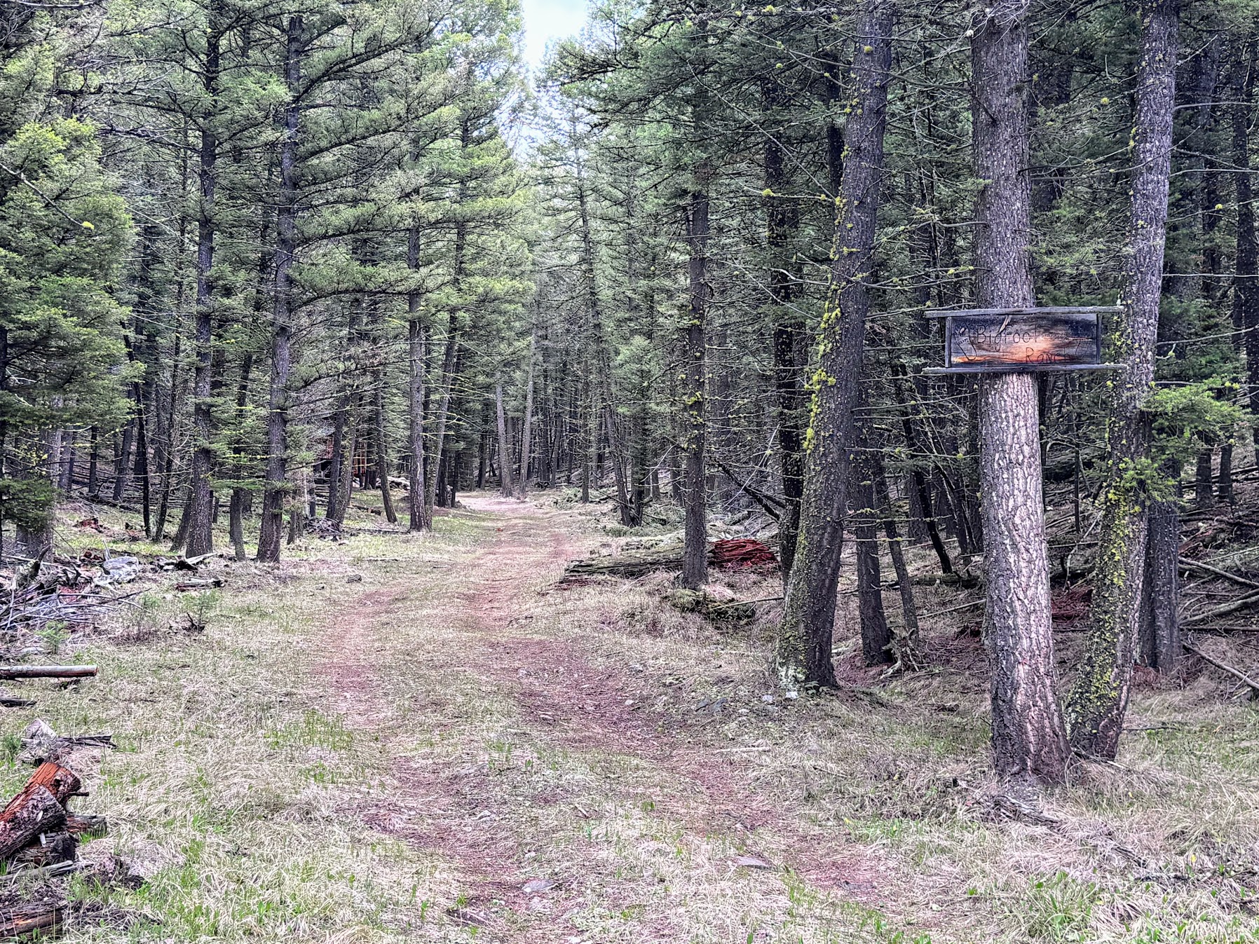 Helmville, Montana 59843, United States, ,Land,Active,137222