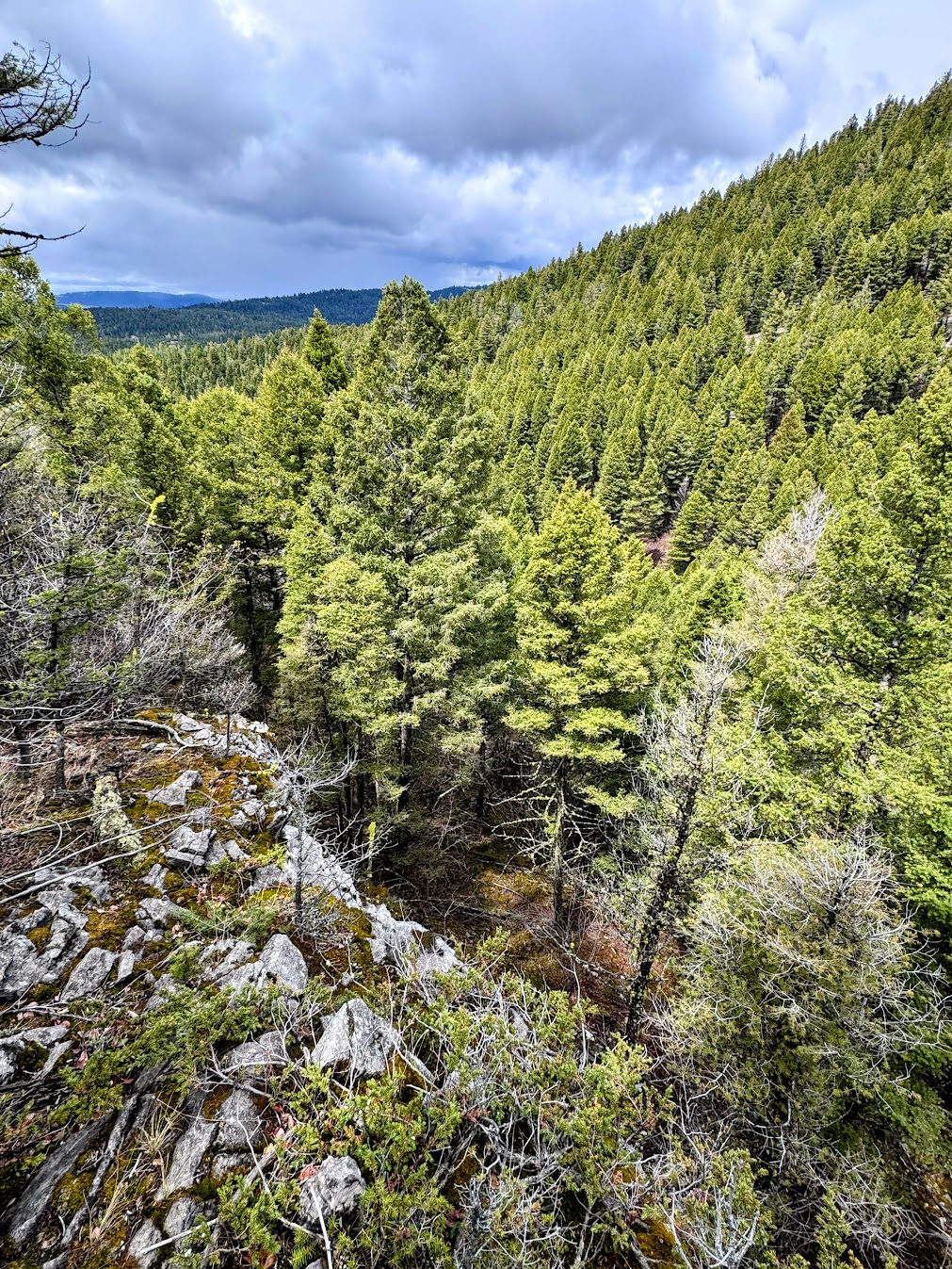 Helmville, Montana 59843, United States, ,Land,Active,137222