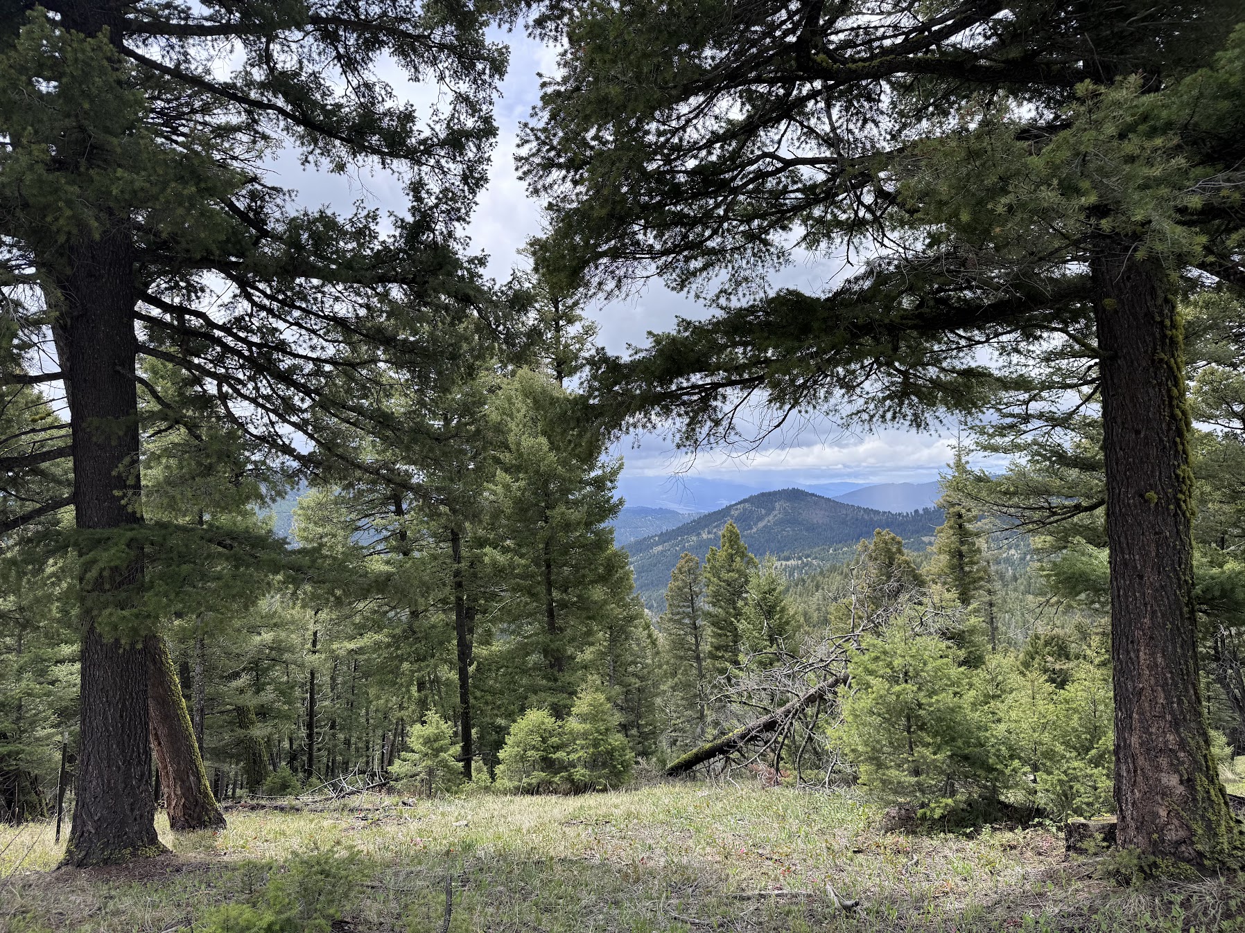 Helmville, Montana 59843, United States, ,Land,Active,137222