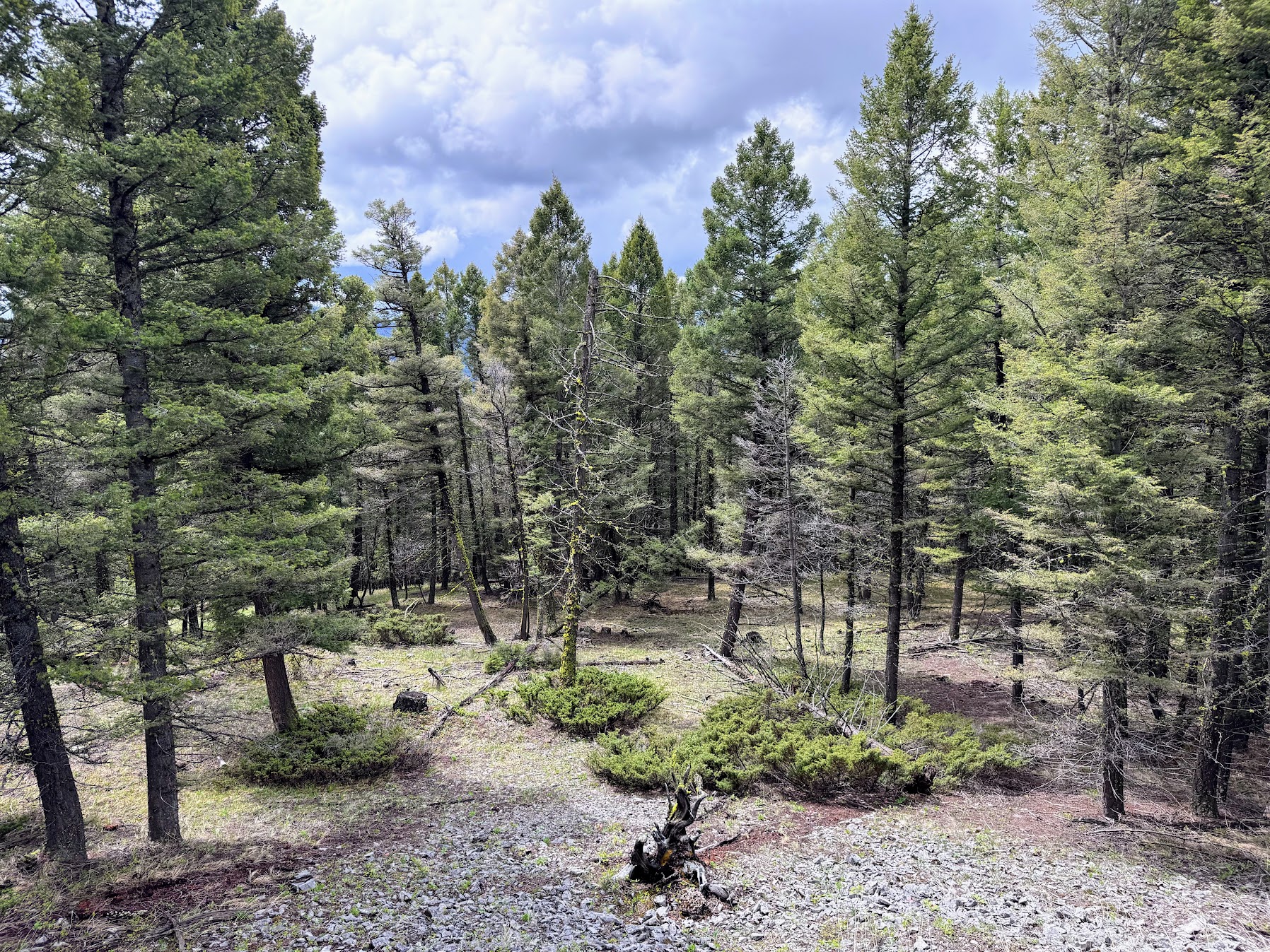 Helmville, Montana 59843, United States, ,Land,Active,137222