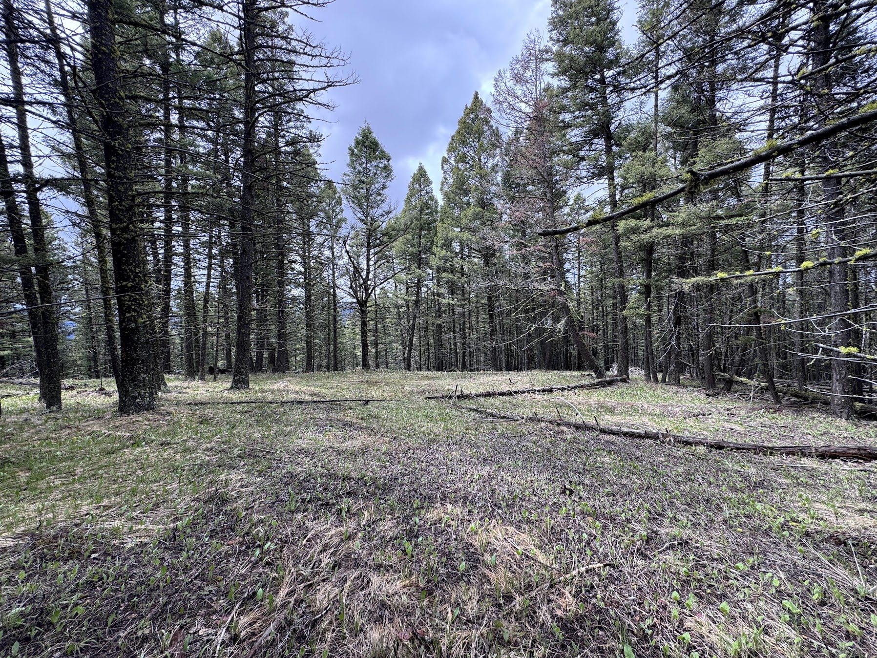 Helmville, Montana 59843, United States, ,Land,Active,137222