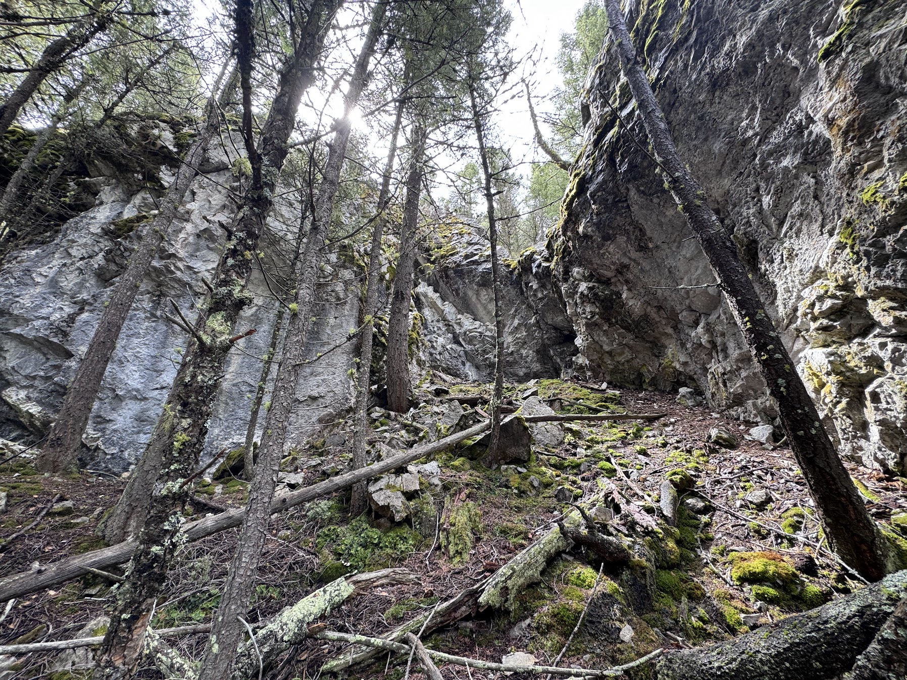 Helmville, Montana 59843, United States, ,Land,Active,137222