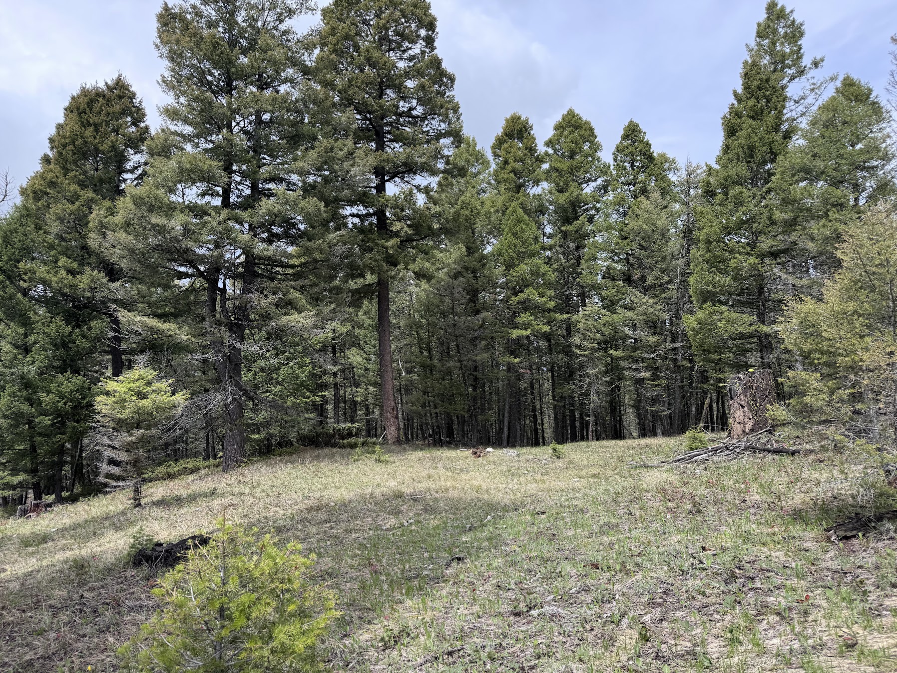 Helmville, Montana 59843, United States, ,Land,Active,137222