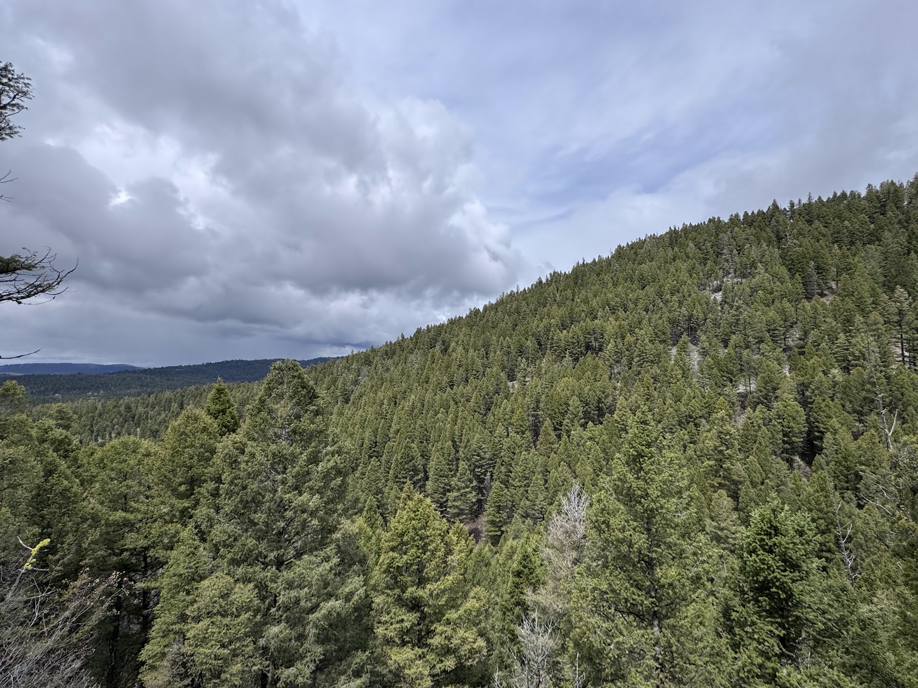 Helmville, Montana 59843, United States, ,Land,Active,137222