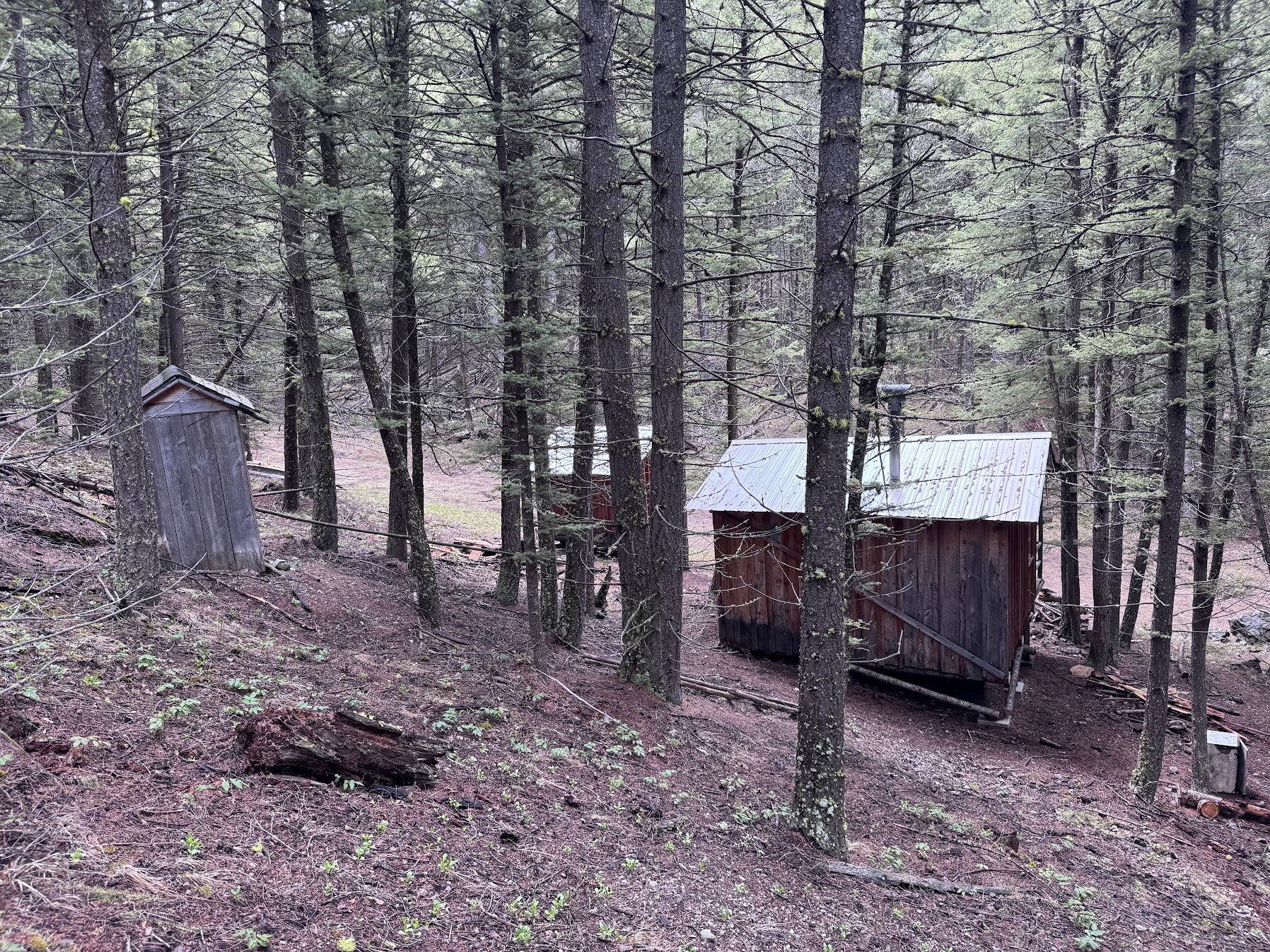 Helmville, Montana 59843, United States, ,Land,Active,137222