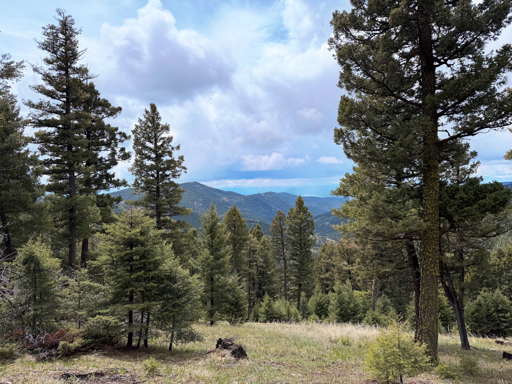 Helmville, Montana 59843, United States, ,Land,Active,137222