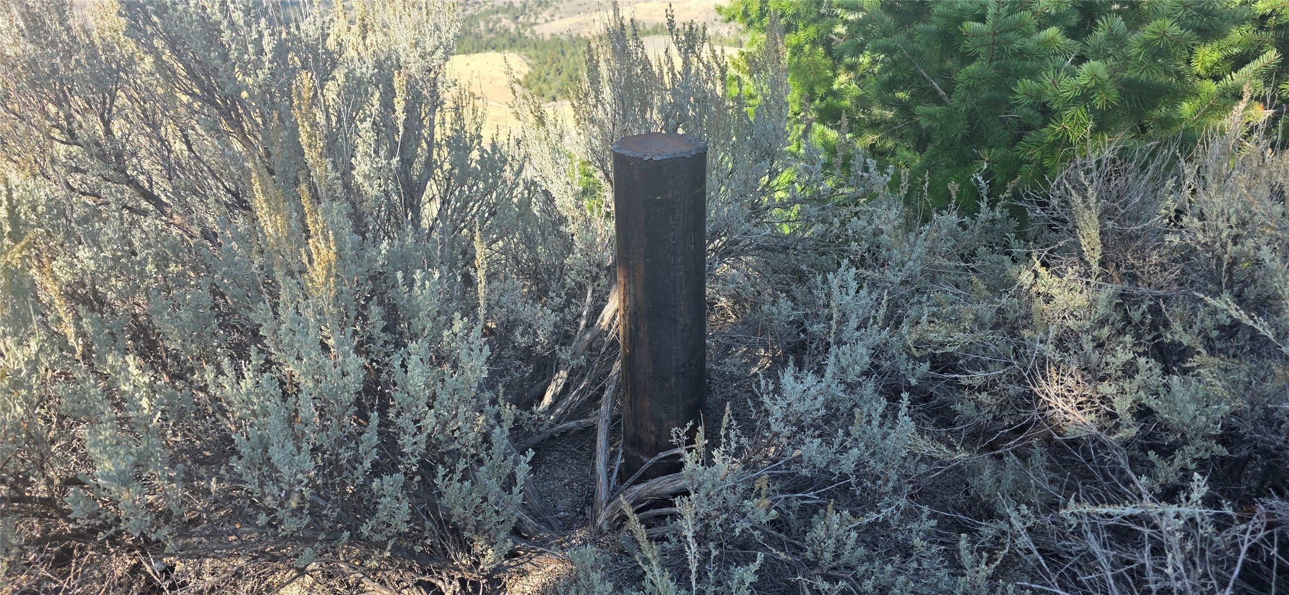 Lot 22 Blue Sage Trail