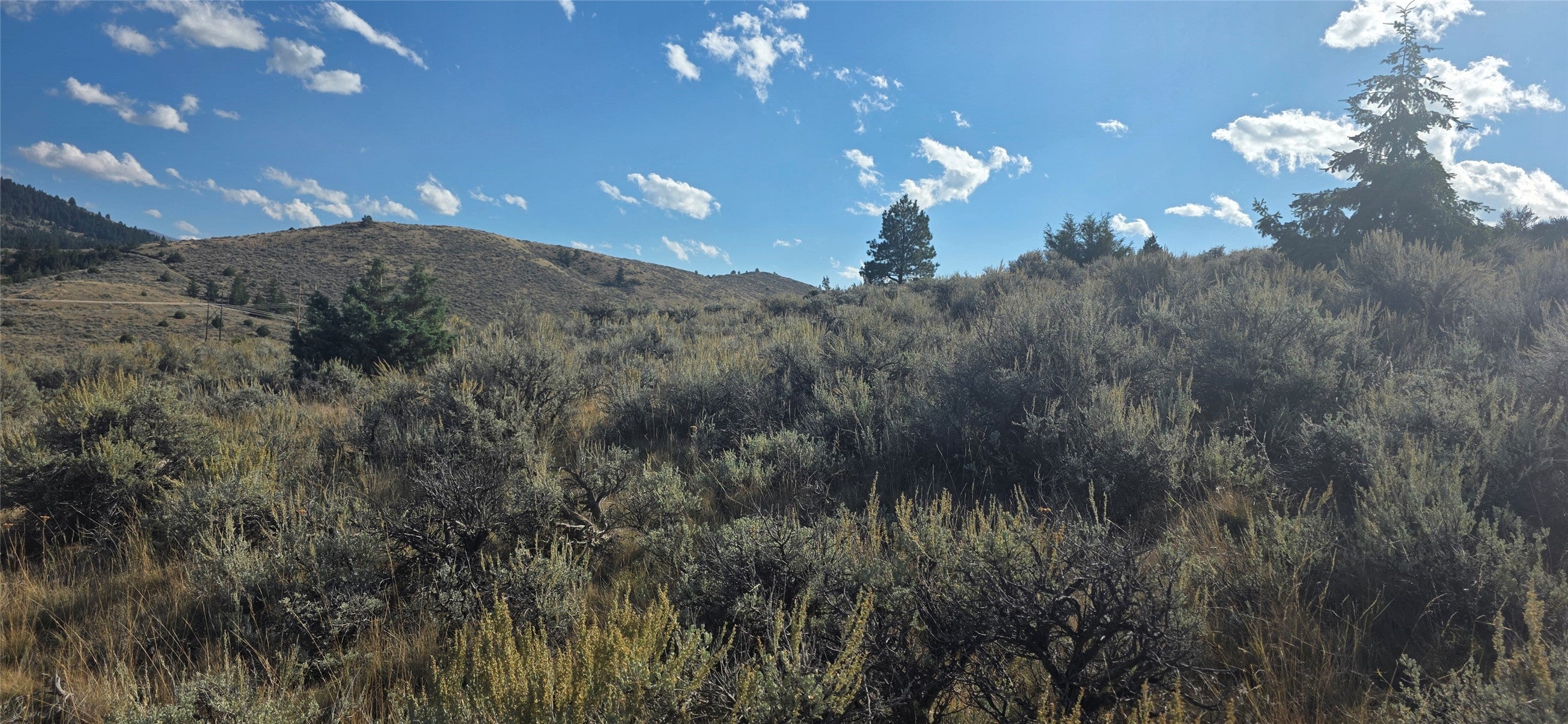Lot 22 Blue Sage Trail