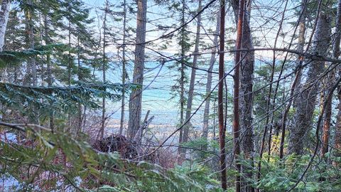 24699 MT Highway 35 Bigfork MT 59911