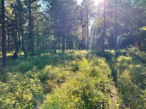 Tiny photo for TBD Eagle Run Drive, Whitefish, MT 59937 (MLS # 30063965)