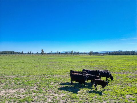 Tiny photo for 1212 Spring Prairie Ranch Road, Whitefish, MT 59937 (MLS # 30033438)