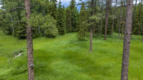 Tiny photo for 175 Danielson Road, Kalispell, MT 59901 (MLS # 30073170)