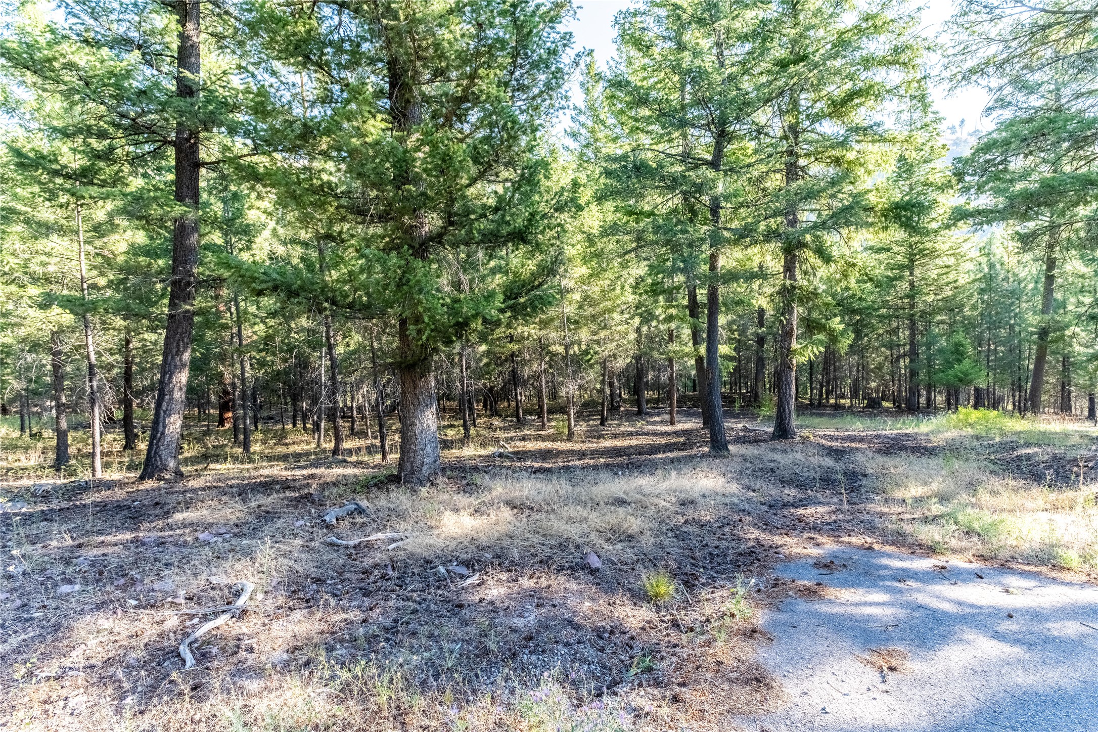 14297 Caddisfly Court