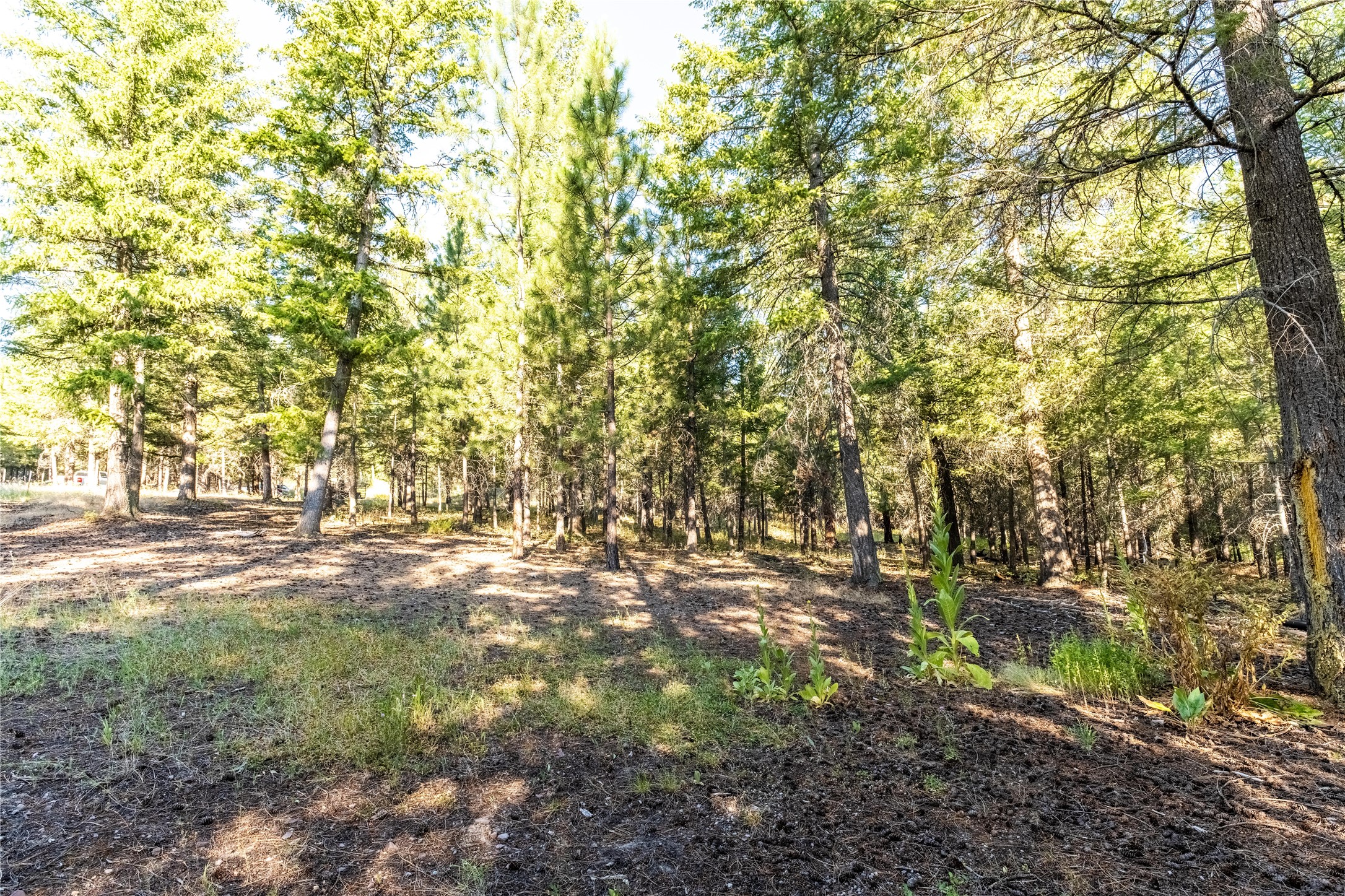 14297 Caddisfly Court
