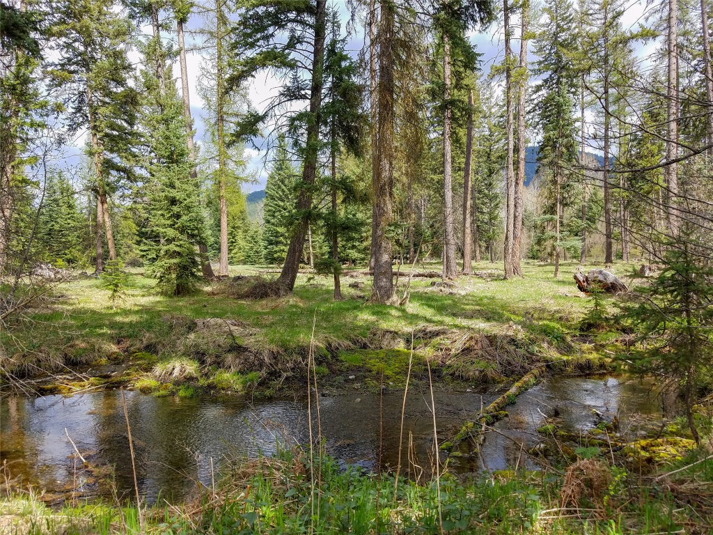 Photo of 137 Fallen Bear Lane, Libby, MT 59923 (MLS # 30078867)