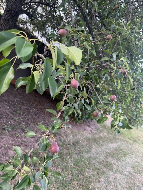 Tiny photo for 130 E Reserve Drive, Kalispell, MT 59901 (MLS # 30053805)