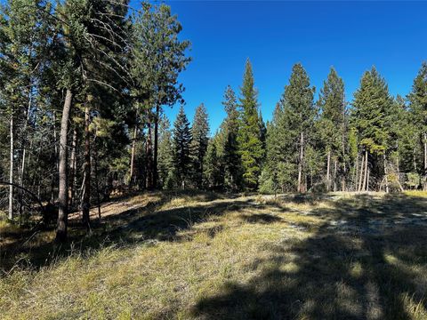 150 Coffee Drive Eureka MT 59917